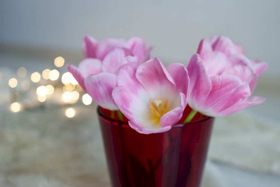 Kwiaty tulipany wiosenne światła puzzle online