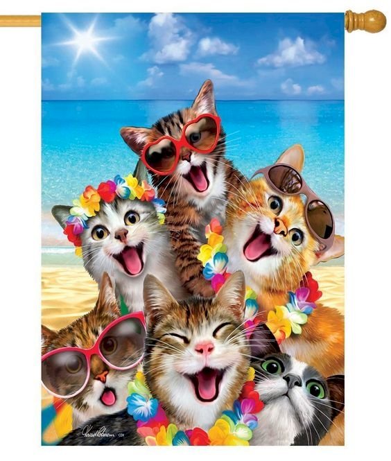 Sześć śmiesznych kotów 2 puzzle online