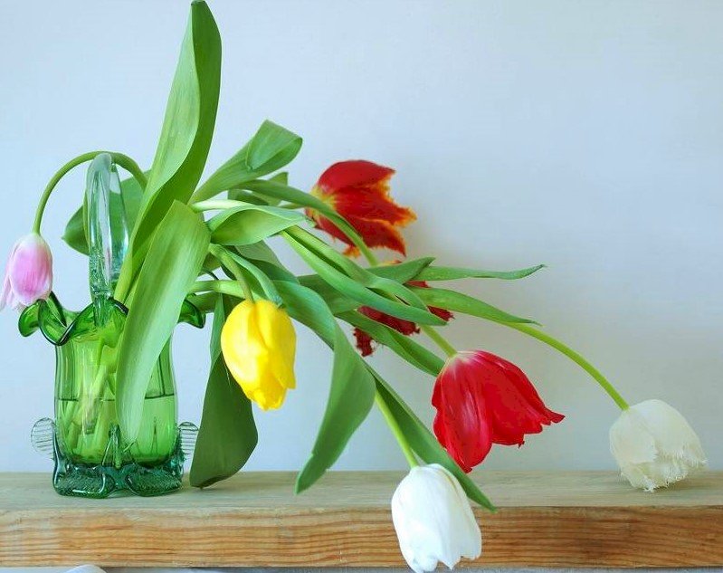Kolorowe Tulipany W Wazonie puzzle online