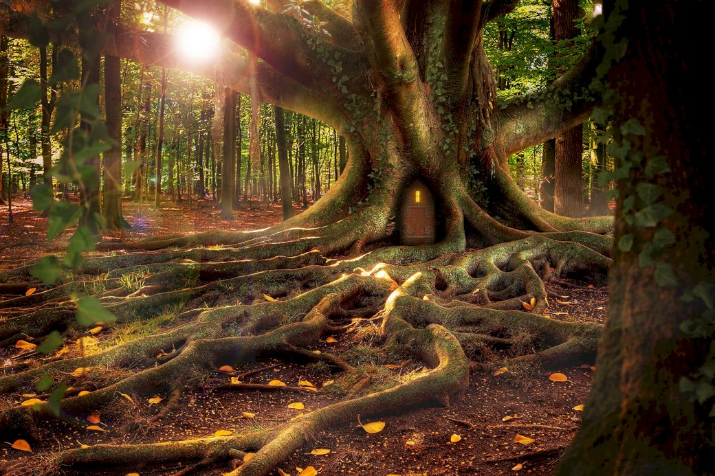 Zamieszkane drzewo w lesie puzzle online