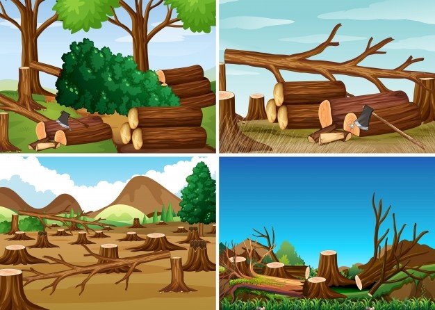 Deforestación - Puzzle Factory