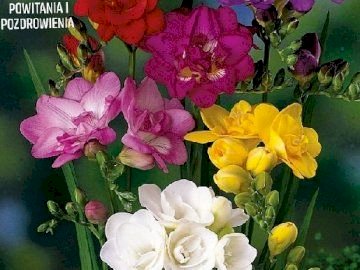 Wieniec kwiatów puzzle online
