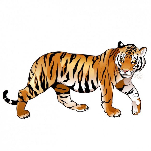Tigris kirakós