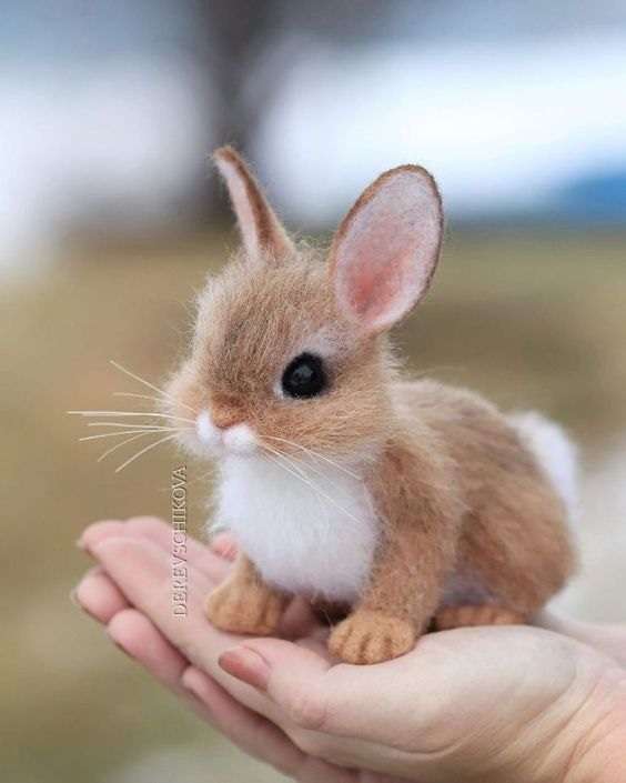Słodki mały królik puzzle online