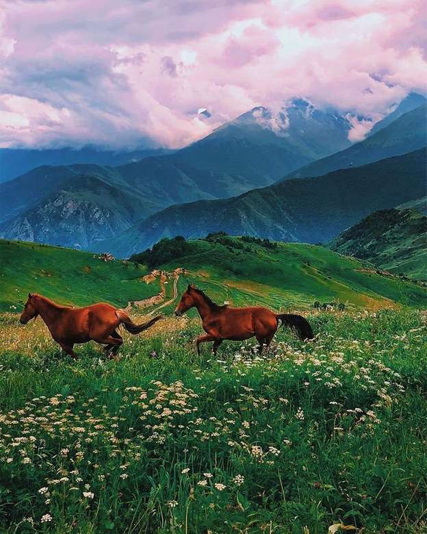 Piękne wyżyny Osetii Północnej-Alanii puzzle online