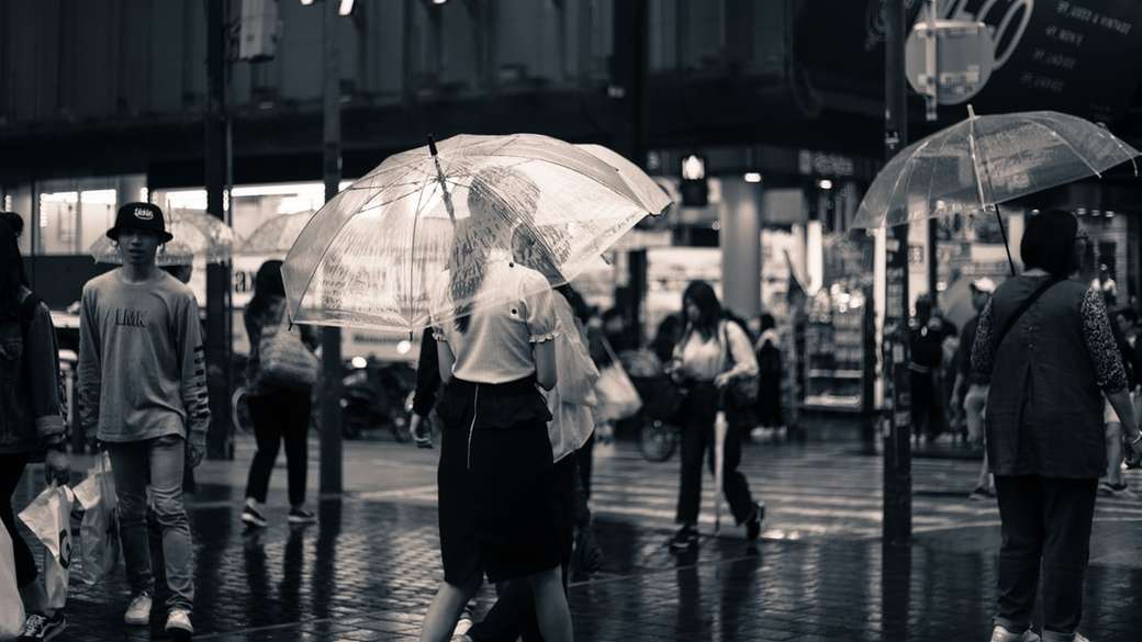 Deszczowy dzień w Osace puzzle online
