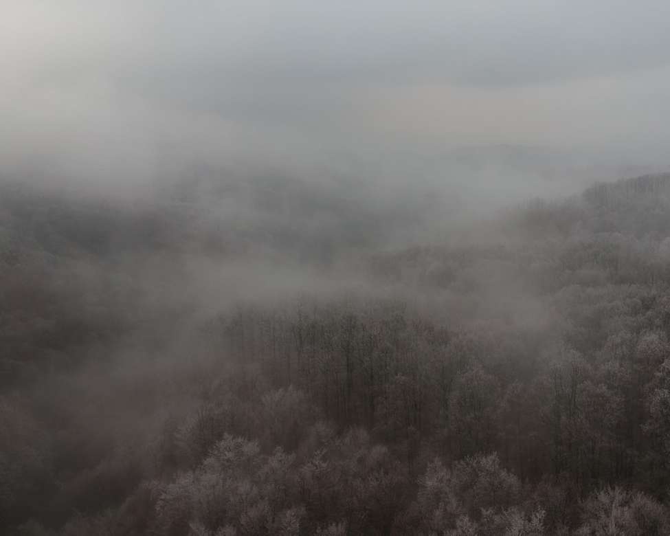 Mgła nad mroznym lasem puzzle online