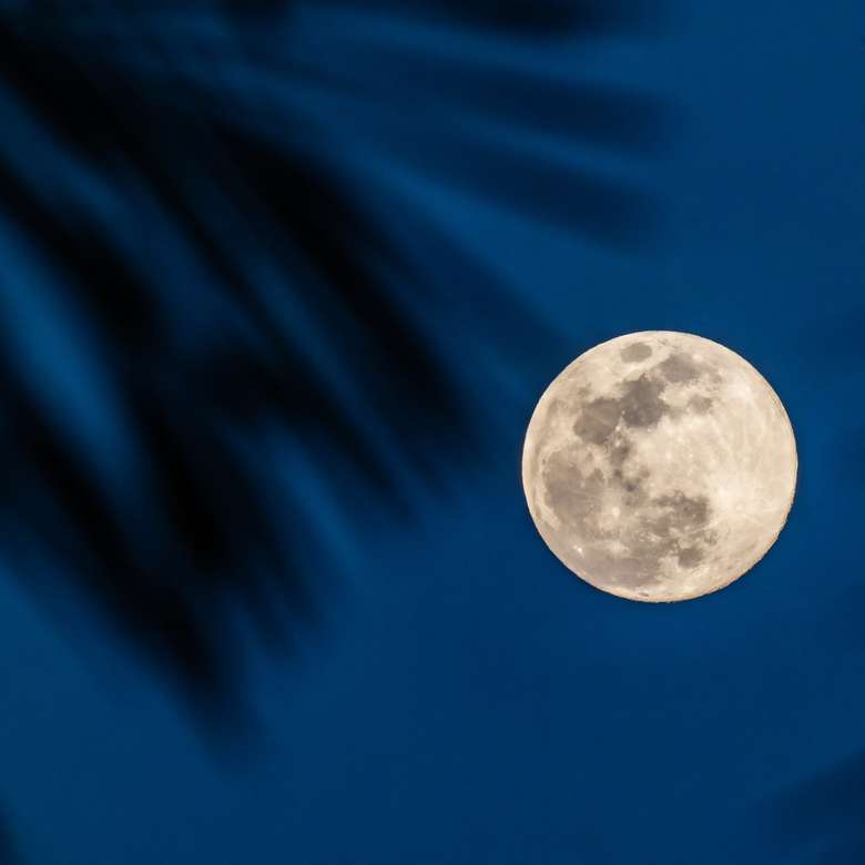pełnia księżyca w błękitne niebo puzzle online