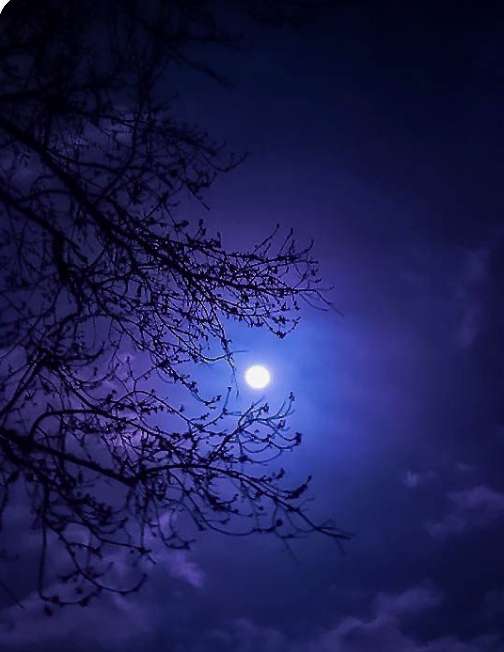 tajemné, noc, modrá tma, měsíc-2 puzzle