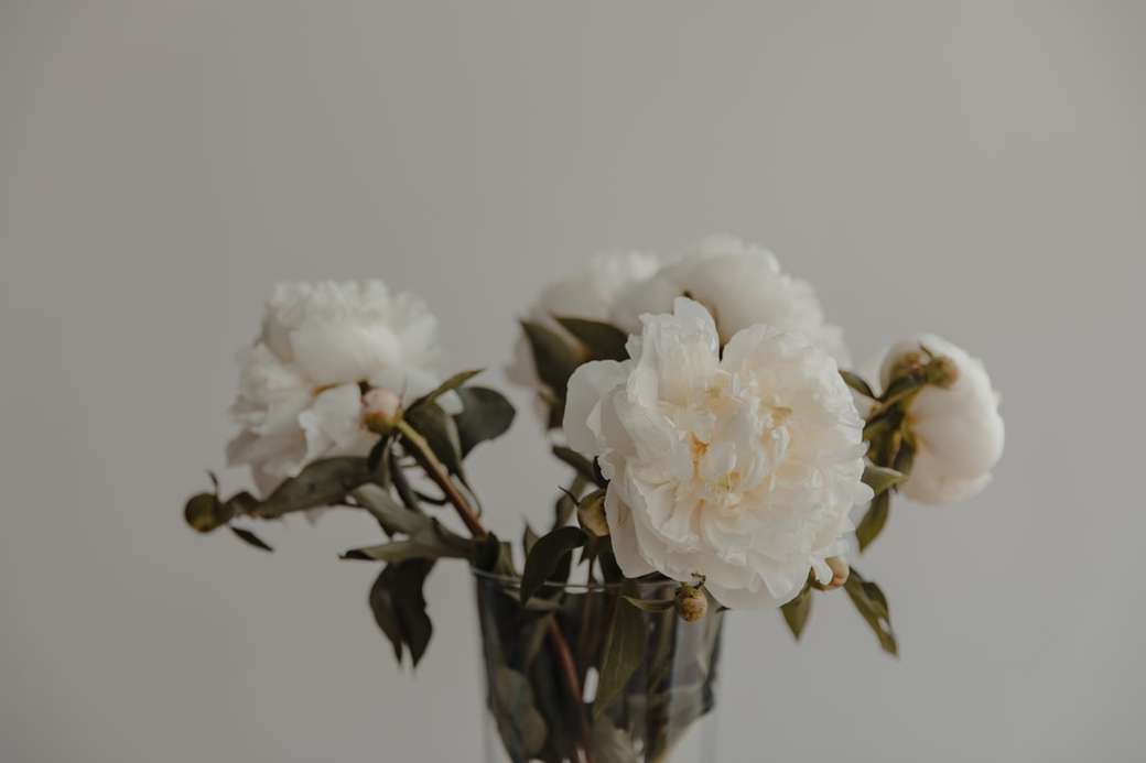 białe kwiaty w wazonie z przezroczystego szkła puzzle online