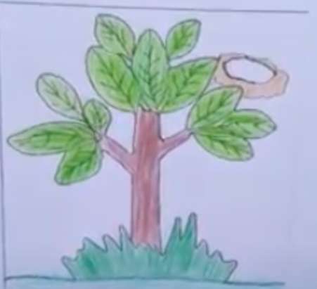 Drzewo Lwa puzzle online