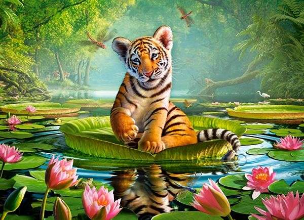 Mały tygrysek nad wodą :) puzzle online
