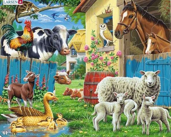 Zwierzęta. puzzle online