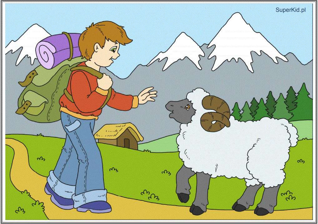 Spotkanie z owieczką puzzle online
