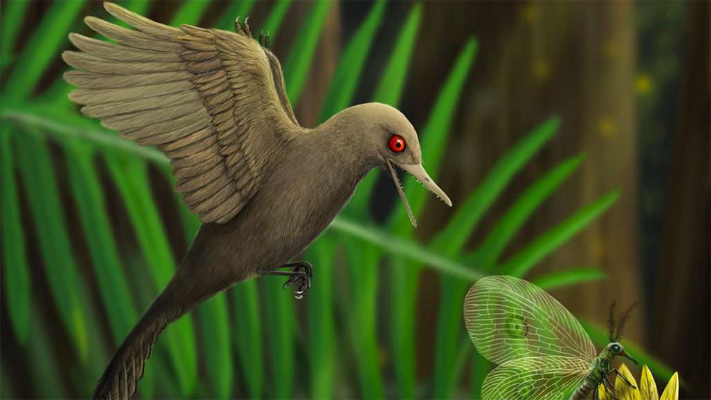 Dinozaur jak ptak puzzle online