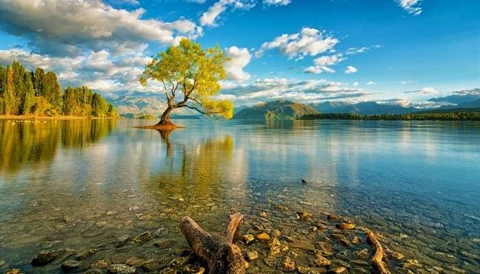 Jezioro Z Drzewem puzzle online