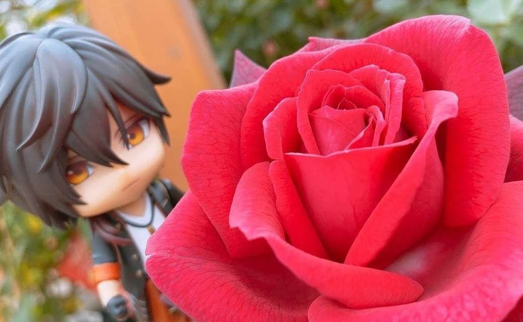 Ookurikara podziwia różę puzzle online