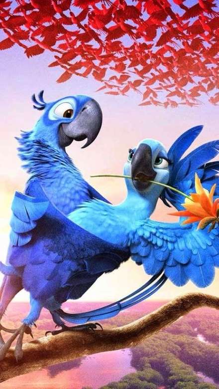 Rio - para papużek puzzle online
