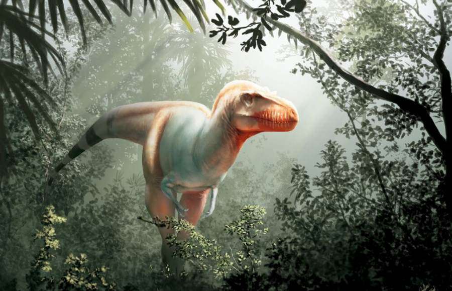 kolorowy dinozaur przemierza dżungle puzzle online