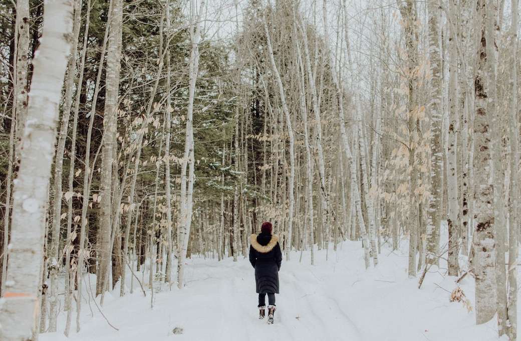 Młoda kobieta idąc przez ośnieżone lasy puzzle online