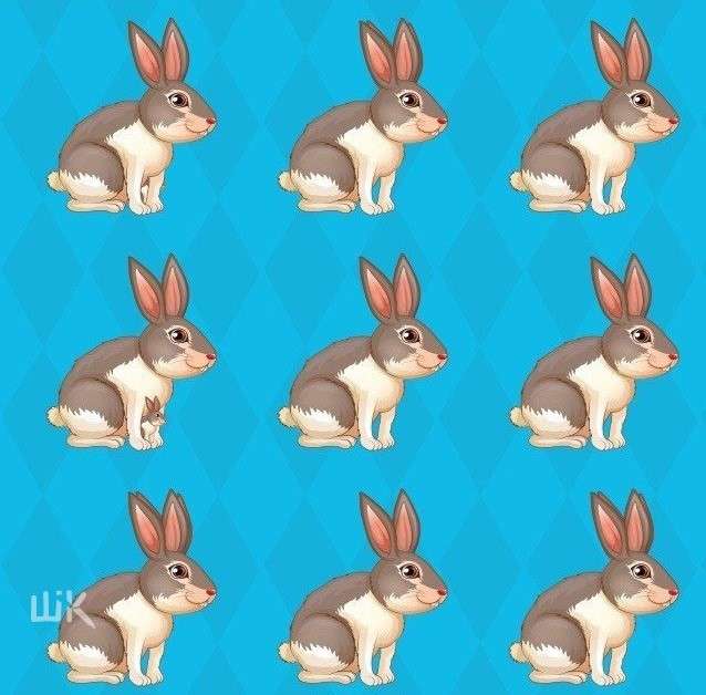 Ile tam jest królików? puzzle online