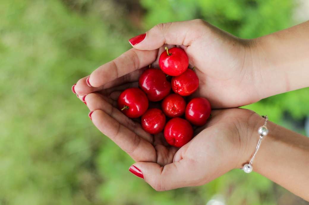 czerwone jagody na rękach osoby puzzle online