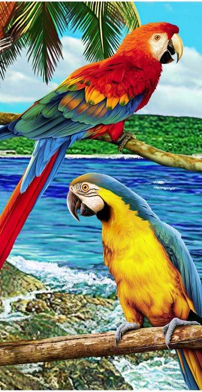 Papuga w raju Deluxe puzzle online