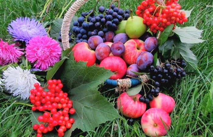 Owoce I Kwiatki Na Trawie puzzle online