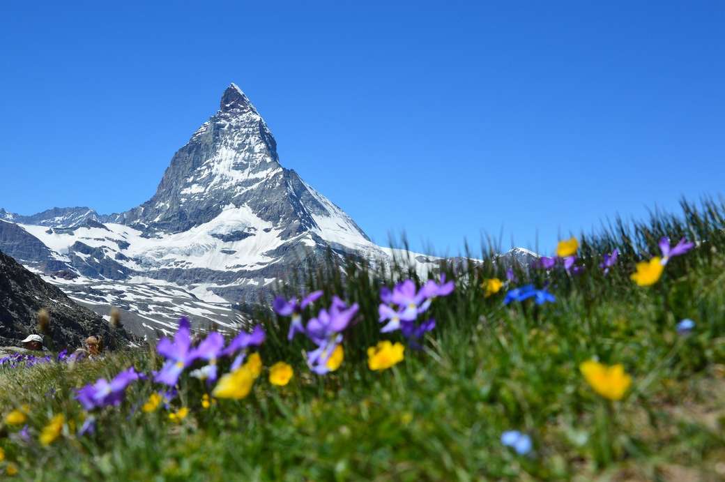 Szwajcarskie Alpy puzzle online