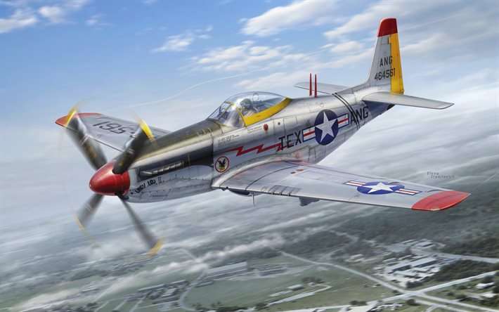 P-51H - Mustang - USAF puzzle