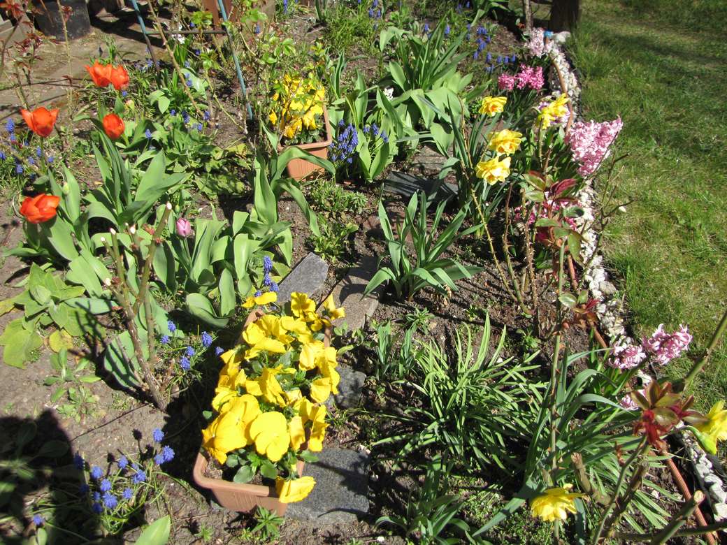 Wiosna w ogrodzie puzzle online