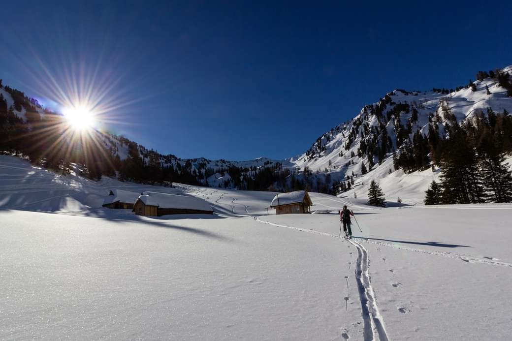 mężczyzna trzyma kijki narciarskie w pobliżu gór puzzle online