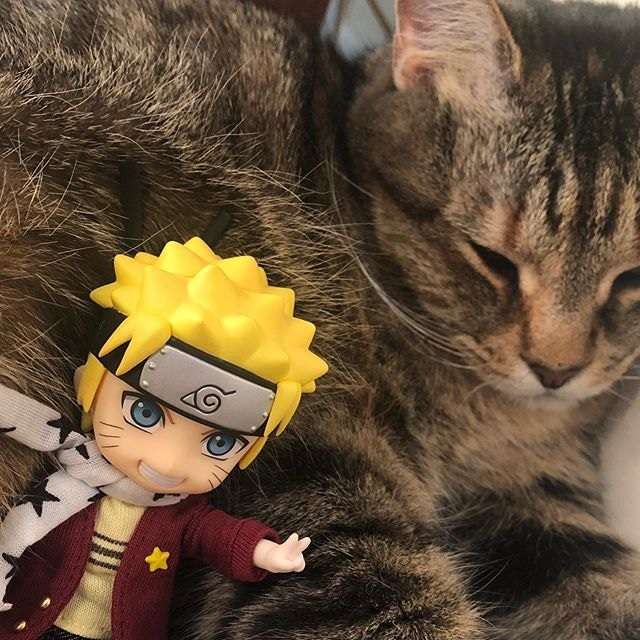 Naruto i jego kot puzzle online