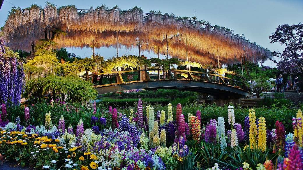 Ashikaga Flower Park quebra-cabeça