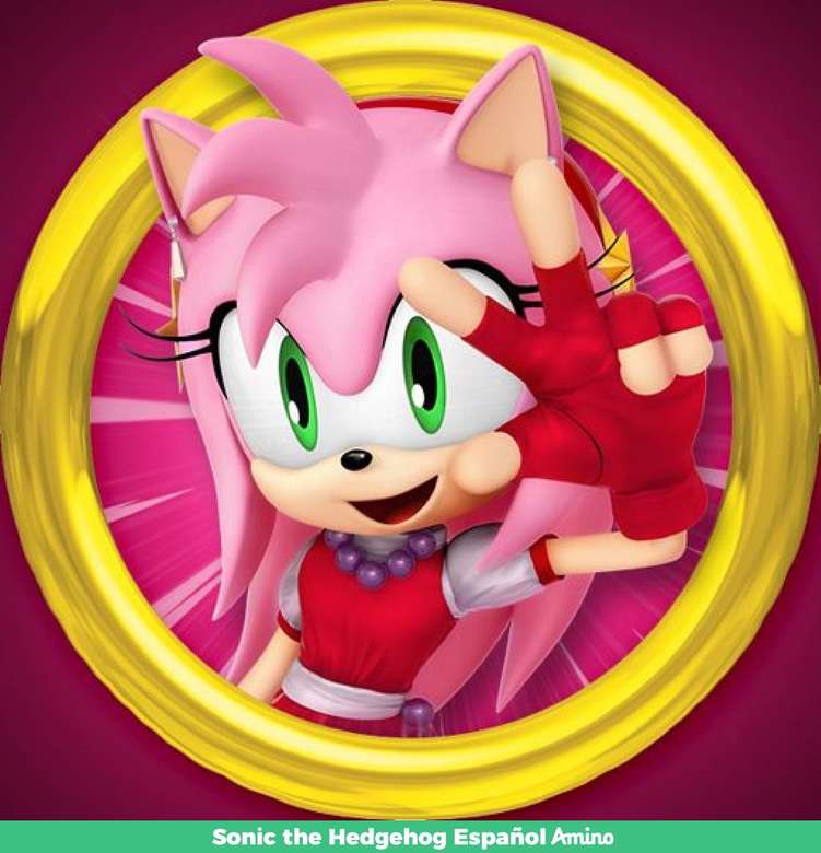 Amy rose puzzle online