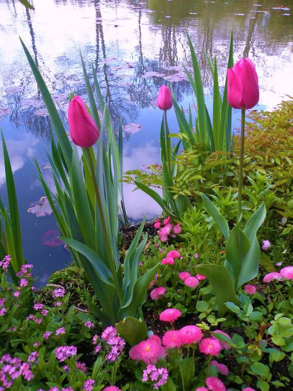 tulipany i różowe kwiaty puzzle online