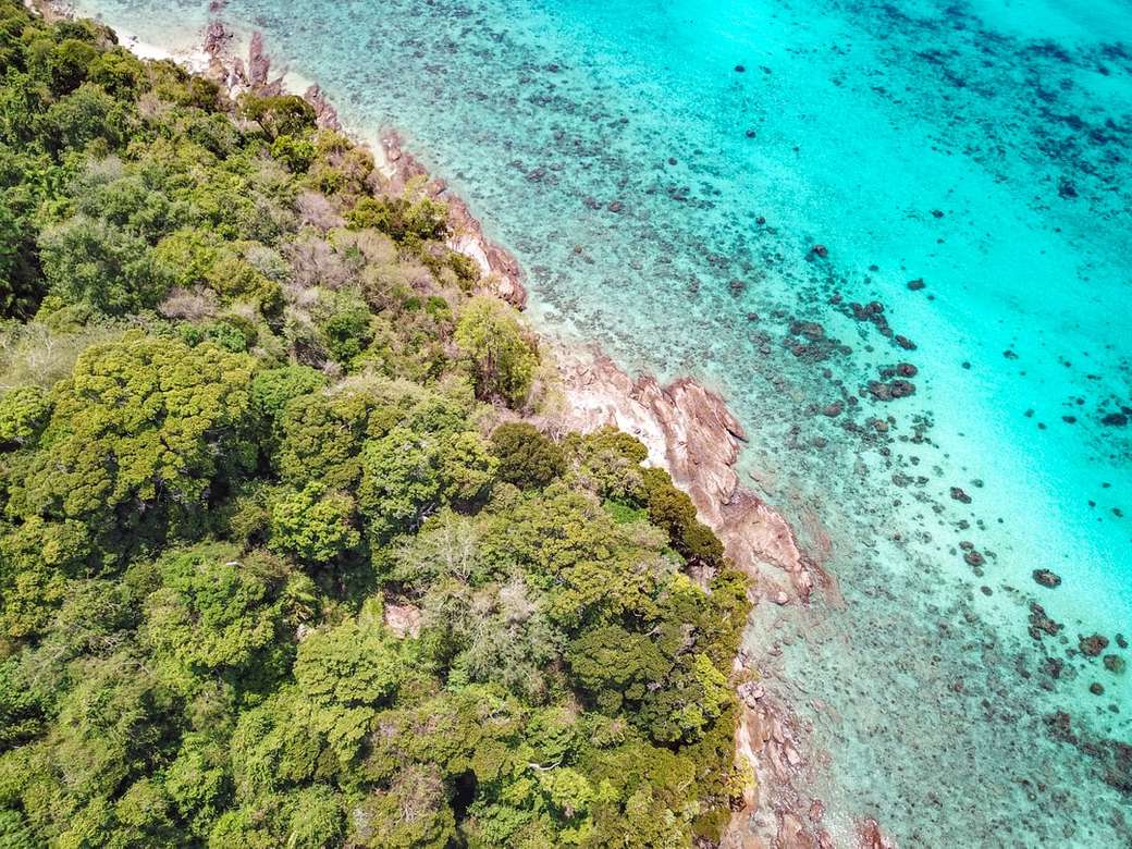 zdjęcia lotnicze wyspy z drzewami w pobliżu oceanu puzzle online