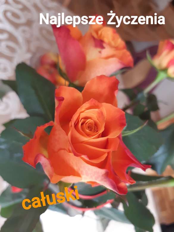 róże z życzeniami puzzle online