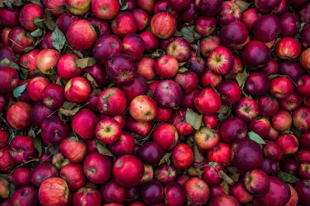 dużo czerwonych jabłek puzzle online