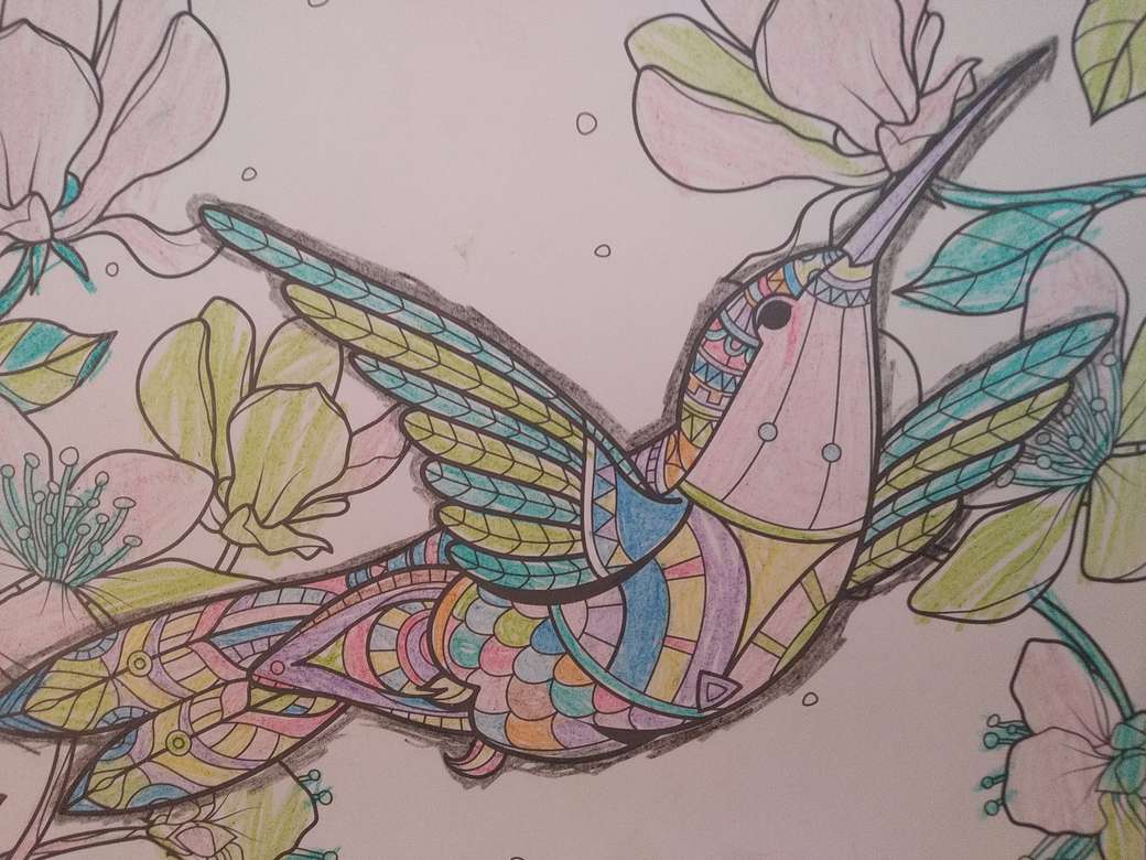 Kolorowy koliber puzzle online