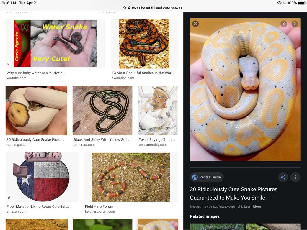 Losowe węże pic puzzle online