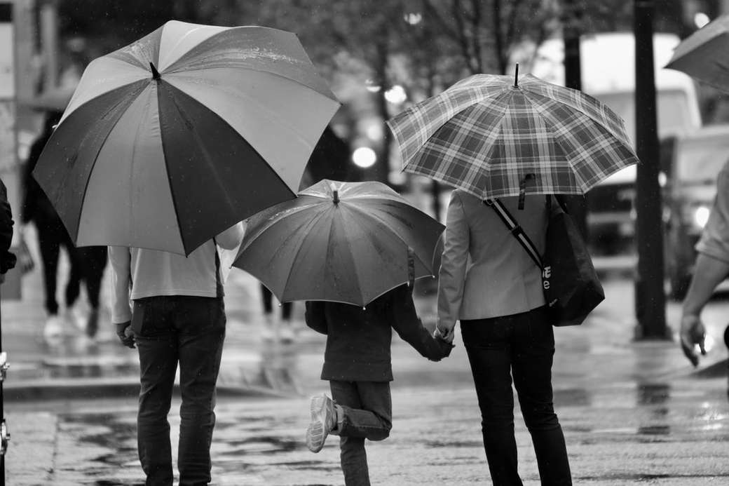 Deszczowe dni w Vancouver puzzle online