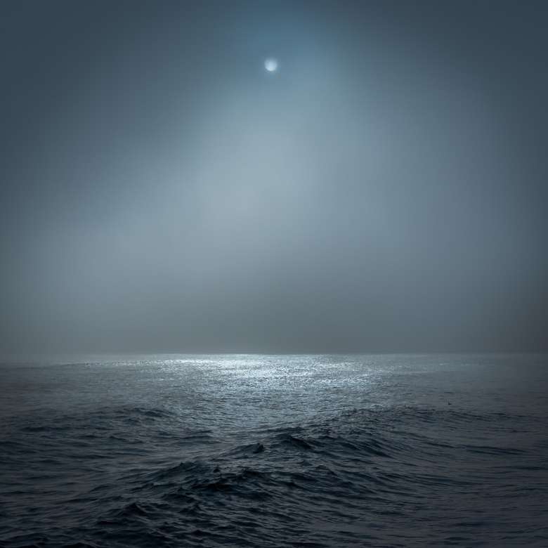 Księżyc w pełni oświetlony akwenem wodnym puzzle online