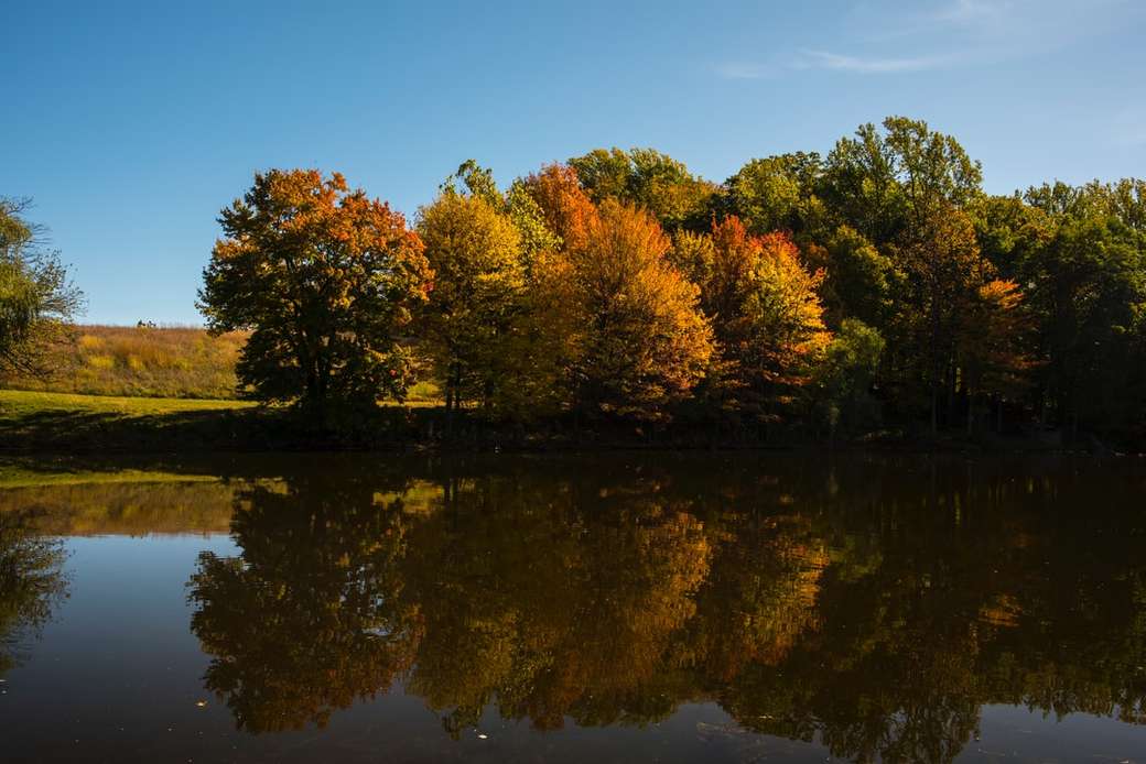 Storm King - Foliage Reflection puzzle online