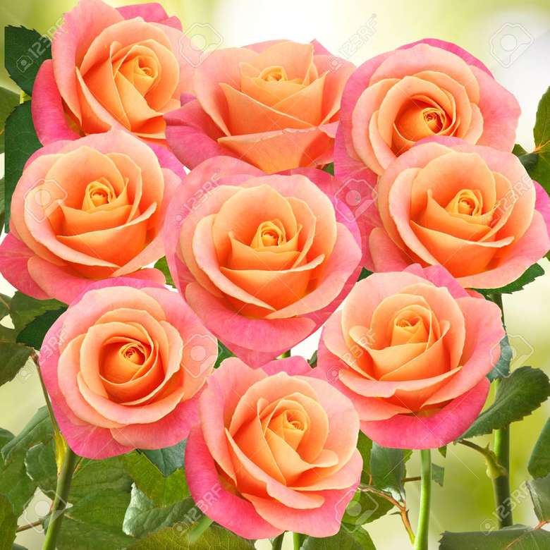 różowe kwiaty puzzle online
