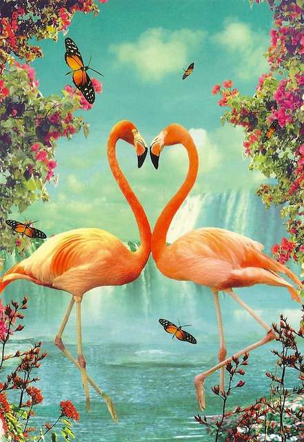 Flamingos Bonitos quebra-cabeça