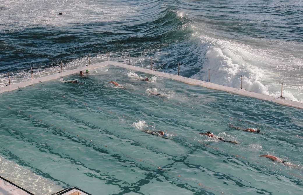 ludzie pływający na plaży w ciągu dnia puzzle online