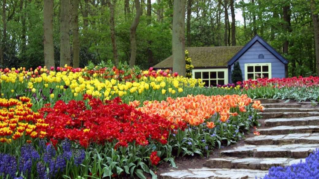 Kolorowy ogród kwiatowy puzzle online