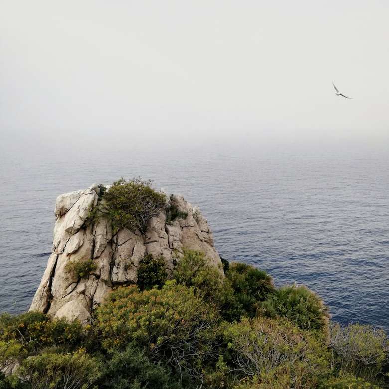 Mistige zee achtergrond en rotsen puzzel