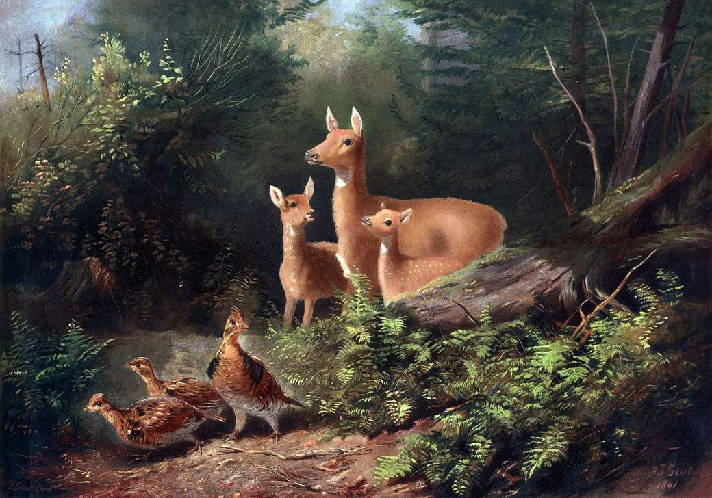 Leśne zwierzęta puzzle online